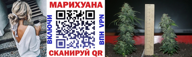 Сколько стоит Гудермес Альфа ПВП МЕГА ссылка Каннабис ГАШИШ