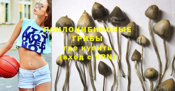 прущая мука Арсеньев