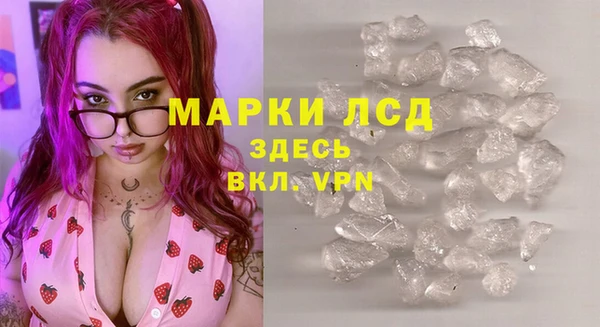 прущие крисы Аркадак