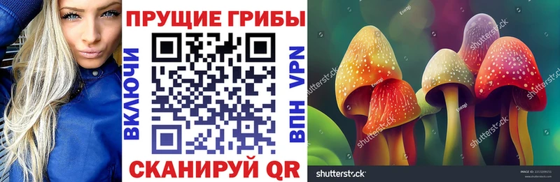 Галлюциногенные грибы MAGIC MUSHROOMS  мориарти официальный сайт  Гудермес 